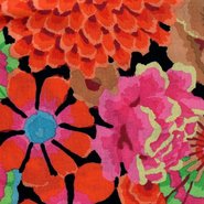 Kaffe Fasset & Tula  Pink