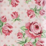 DP20401 Dots and Posies pink