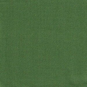 DHER1503 Holly Pindot