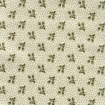 4512-632 Nellies shirtings ecru met groen bloempje