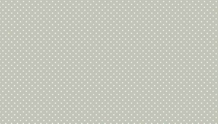 830-S60 spot on silver