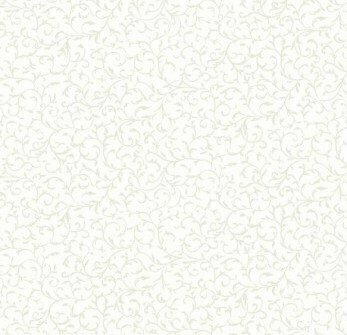 760-W1 Essentials scroll wit met wit slingertje