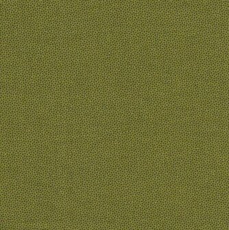 Dher1503- Pindot-Olive