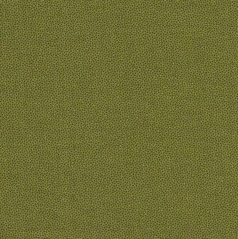 Dher1503- Pindot Olive