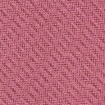 DHER1503 Camelia Pindot