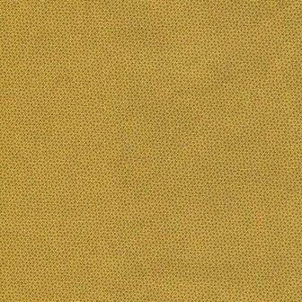 DHER1503 Ochre Pindot