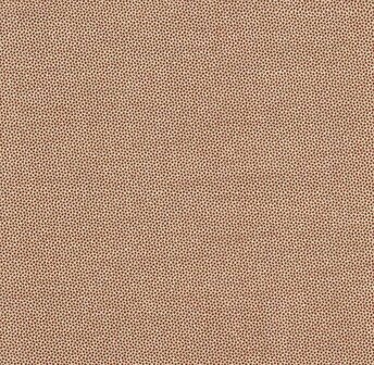 DHER1503 Amber Pindot