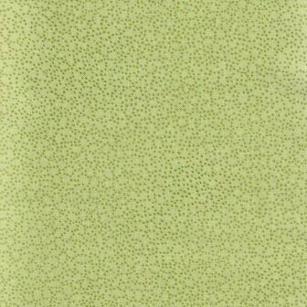 4513-819 Basic Twist Light Green