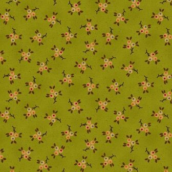 4708-163 Autumn Farmhouse kiwi by Kim Diehl