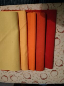Patroon Quilt Dutch Tulips