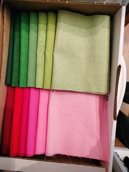 Patroon Quilt Dutch Tulips