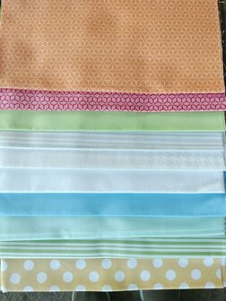 Advantage Box fabrics only Kimberbell Two Scoops