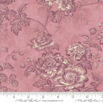 44360-24 Lavender Fields Orchi