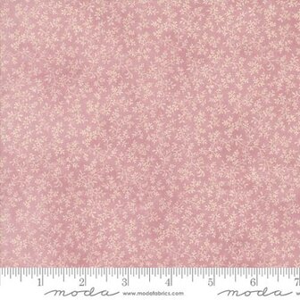 44363-24 Lavender Fields Orchi
