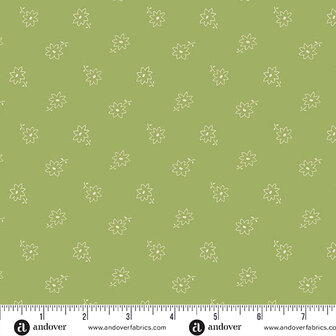 1451-G Itsy Bits Aster Pistachio