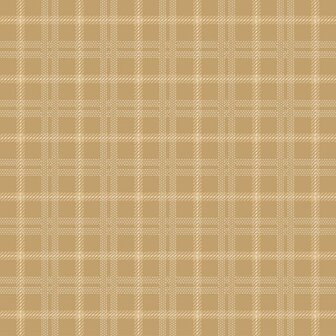 Quiltpakket Ragtime Flanellen Quilt  Primo Plaids