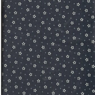 1264-16 Star Stripe gatherings