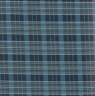 31533-15 Hopes Journey 1830-1860