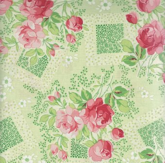 HG2405-66 green with pink roses