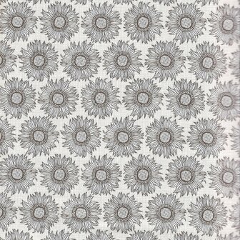 PS19015 Dorcus Grey 