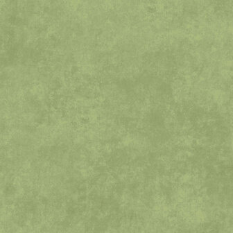 F513-GS2 Shadowplay Flannel Light Green
