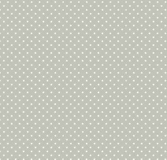 830-S60 Fleck auf Silber