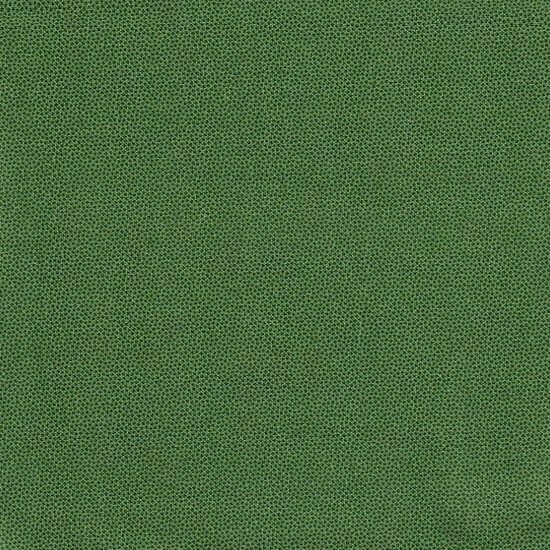 DHER1503 Stechpalme Pindot