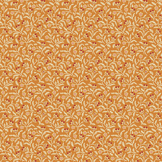 186-O Lady Tulip Tangerine