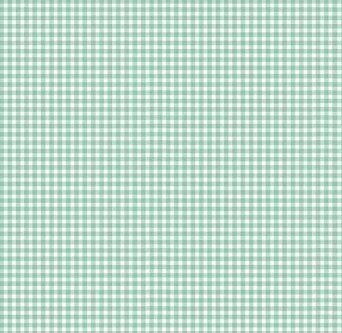 920-T62 New Gingham Duck Egg