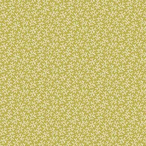 550Y Ginger Lilly Coralline Turmeric