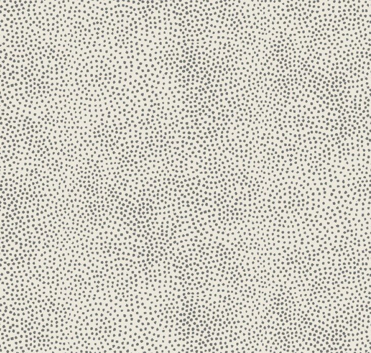 4502-437 Grey is back