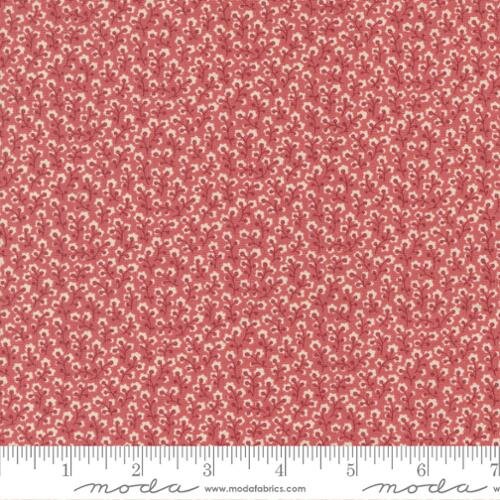 13956-17 Antoinette by French General