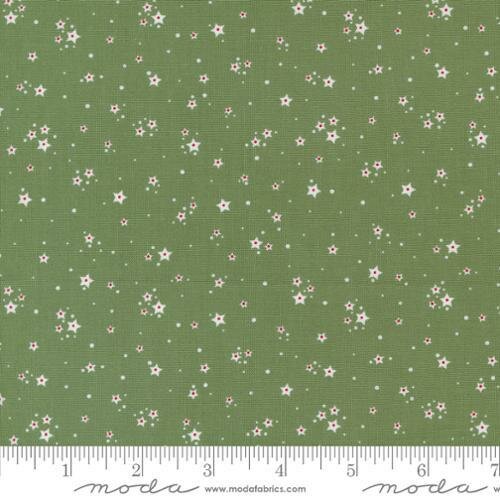 29187-23 Starberry Starry Green