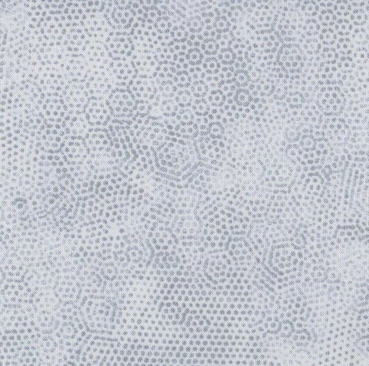 1867-C5 Dimples pale silver