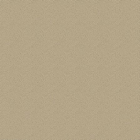 411-303 Petits Points Sand