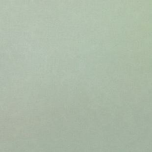 EESSCS-307 Silky Solid Cotton Pastel green