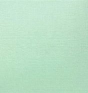 EESSCS-121 Silky Cotton Pastel green