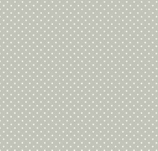 830-S60 Fleck auf Silber