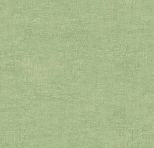 4509-801 melange soft light green
