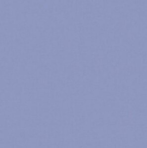 2000-B43 Spectrum Cornflower