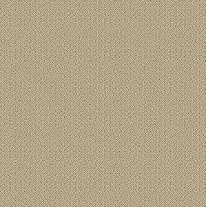 411-303 Petits Points Sand