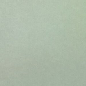 EESSCS-307 Silky Solid Cotton Pastel green 