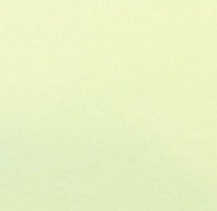 EESSCS-316 Silky Cotton Mint