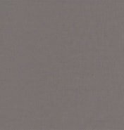 EESSCS-319 Silky Cotton Ash Grey