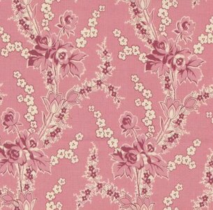 31700-11 Goodnight Irene Carnation