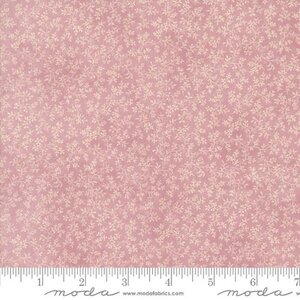 44363-24 Lavender Fields Orchi