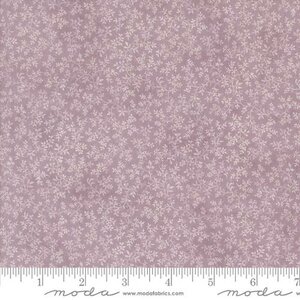 44363-28 Lavender Fields Iris