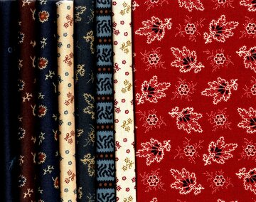 8 Fateights Carolina by Jo Morton 