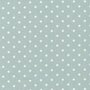 31930-72 Durham blue white dot